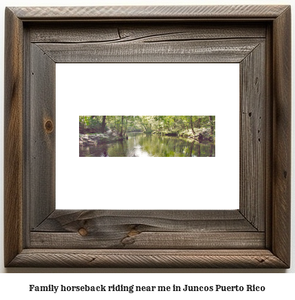 family horseback riding near me in Juncos, Puerto Rico